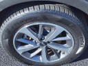 Thumbnail image of 2019 Kia Sorento at Serra Buick Gmc Champaign