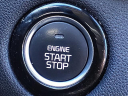 Thumbnail image of 2019 Kia Sorento at Serra Buick Gmc Champaign