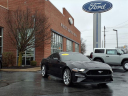 Thumbnail image of 2022 Ford Mustang at White's Ford