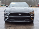Thumbnail image of 2022 Ford Mustang at White's Ford