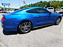 Thumbnail image of 2017 Ford Mustang at Gary Mathews Motors