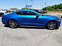 Thumbnail image of 2017 Ford Mustang at Gary Mathews Motors