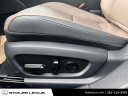 Thumbnail image of 2024 Lexus ES 350 at Stoler Lexus