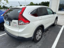 Thumbnail image of 2014 Honda CR-V at Hamilton Honda