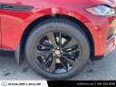 Thumbnail image of 2022 Jaguar F-PACE at Stoler Lexus