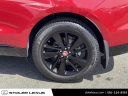 Thumbnail image of 2022 Jaguar F-PACE at Stoler Lexus