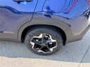 Thumbnail image of 2025 Kia Seltos at Auffenberg Kia of Cape Girardeau
