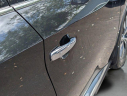 Thumbnail image of 2021 Nissan Murano at WestPalmBeachKia-New of West Palm Beach, FL