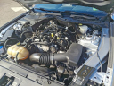 Thumbnail image of 2021 Ford Mustang at Fred Beans Ford Newtown NEW