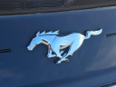 Thumbnail image of 2021 Ford Mustang at Fred Beans Ford Newtown NEW