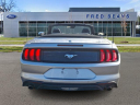 Thumbnail image of 2021 Ford Mustang at Fred Beans Ford Newtown NEW