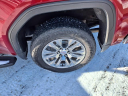 Thumbnail image of 2019 GMC Sierra 1500 at Davis Motors Inc.