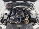 Thumbnail image of 2007 Ford Shelby GT500 at Classic Chevrolet Cadillac - Beaumont