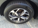 Thumbnail image of 2021 Kia Sportage at Pogue Automotive Group