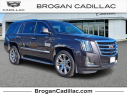 Thumbnail image of 2017 Cadillac Escalade at Brogan Cadillac of Totowa