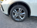Thumbnail image of 2024 Nissan Murano at Sunrise Volkswagen of Fort Pierce