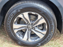 Thumbnail image of 2019 Honda CR-V at Honda of Bridgewater