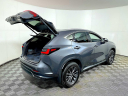 Thumbnail image of 2022 Lexus NX 350 at BMW Mini of Freeport