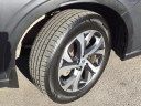 Thumbnail image of 2020 Subaru Outback at Mcfarland Ford Rochester