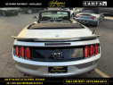 Thumbnail image of 2015 Ford Mustang at Adams Auto Group Inc