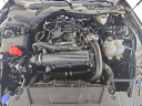 Thumbnail image of 2024 Ford Mustang at Burkart Ford