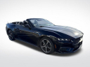Thumbnail image of 2024 Ford Mustang at Burkart Ford