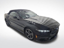 Thumbnail image of 2024 Ford Mustang at Burkart Ford