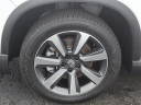 2025 Honda Pilot Elite at Mike Piazza Honda Langhorne