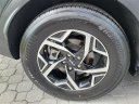 Thumbnail image of 2024 Kia Sportage at Southern 441 Nissan