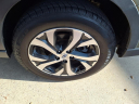 Thumbnail image of 2020 Subaru Outback at Harvey Subaru