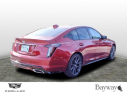 Thumbnail image of 2025 Cadillac CT5 at Bayway Cadillac Of The Woodlands