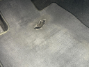 Thumbnail image of 2016 Honda Civic at TURNAGE MOTOR CO