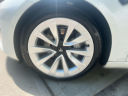 Thumbnail image of 2022 Tesla Model 3 at Import Masters