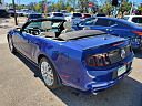 Thumbnail image of 2014 Ford Mustang at Modern Corp Auto Sales