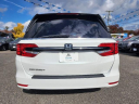 Thumbnail image of 2021 Honda Odyssey at Honda Universe