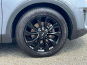 Thumbnail image of 2020 Kia Sorento at Wayne Ford