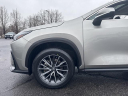 Thumbnail image of 2024 Lexus NX 350 at Berlin City Toyota of Portland