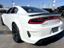 Thumbnail image of 2023 Dodge Charger at South Shore Chrysler Dodge Jeep RAM