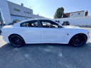 Thumbnail image of 2023 Dodge Charger at South Shore Chrysler Dodge Jeep RAM