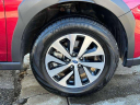 2024 Subaru Outback Premium at Grand Prix Subaru