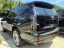 Thumbnail image of 2025 Cadillac Escalade at East Hills Chevrolet of Douglaston
