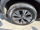 Thumbnail image of 2023 Nissan Rogue at Nissan 46