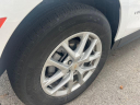 Thumbnail image of 2024 Chevrolet Equinox at Vision Nissan Greece