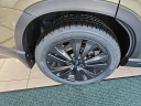 Thumbnail image of 2022 Subaru Ascent at D & P Auto Sales
