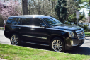 Thumbnail image of 2019 Cadillac Escalade at Import Masters