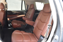 Thumbnail image of 2019 Cadillac Escalade at Import Masters