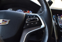 Thumbnail image of 2019 Cadillac Escalade at Import Masters