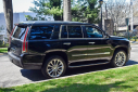 Thumbnail image of 2019 Cadillac Escalade at Import Masters