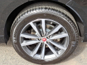 Thumbnail image of 2021 Jaguar F-PACE at Piazza Jaguar Land Rover Willow Grove