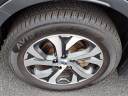 Thumbnail image of 2021 Subaru Outback at Serra Buick Gmc Champaign